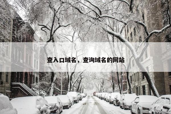 查入口域名，查询域名的网站