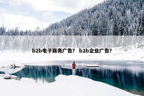 b2b电子商务广告？ b2b企业广告？