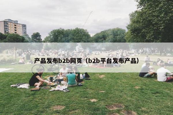 产品发布b2b网页（b2b平台发布产品）
