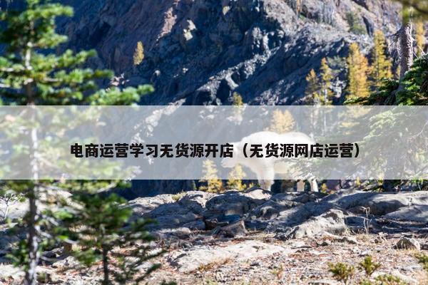 电商运营学习无货源开店（无货源网店运营）