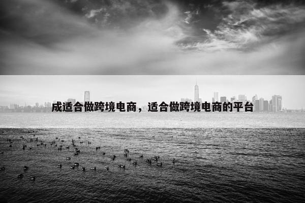 成适合做跨境电商，适合做跨境电商的平台