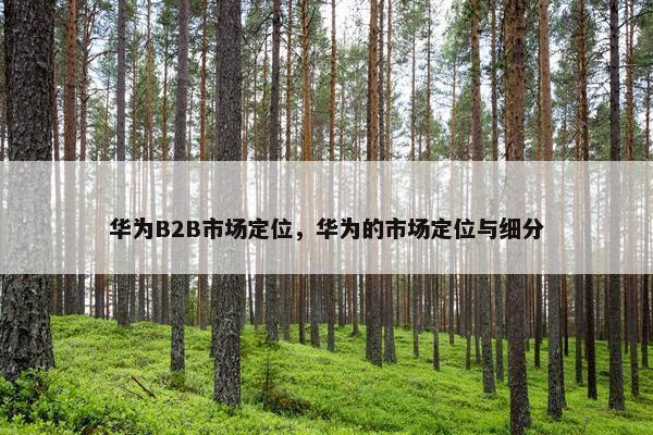 华为B2B市场定位，华为的市场定位与细分