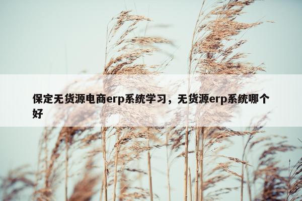 保定无货源电商erp系统学习，无货源erp系统哪个好