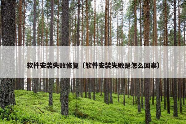 软件安装失败修复（软件安装失败是怎么回事）