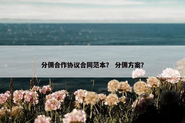 分佣合作协议合同范本？ 分佣方案？