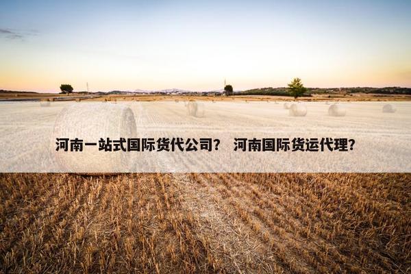 河南一站式国际货代公司？ 河南国际货运代理？