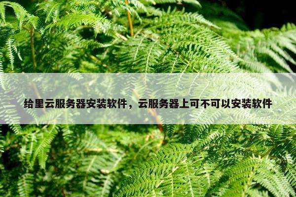 给里云服务器安装软件，云服务器上可不可以安装软件