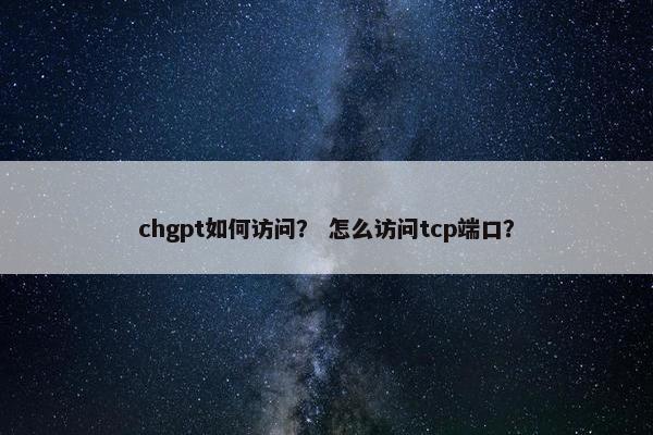 chgpt如何访问？ 怎么访问tcp端口？