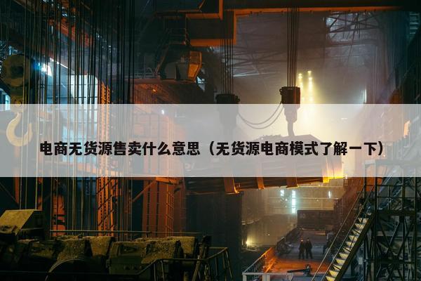 电商无货源售卖什么意思（无货源电商模式了解一下）