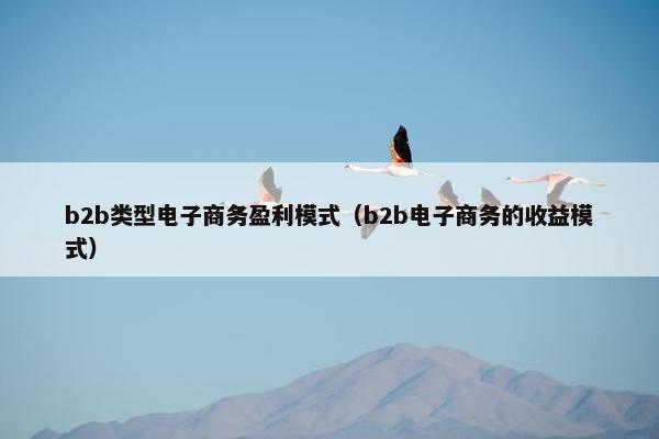 b2b类型电子商务盈利模式（b2b电子商务的收益模式）
