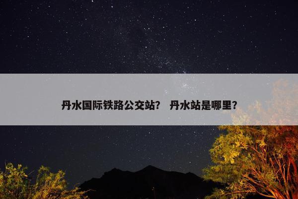 丹水国际铁路公交站？ 丹水站是哪里？