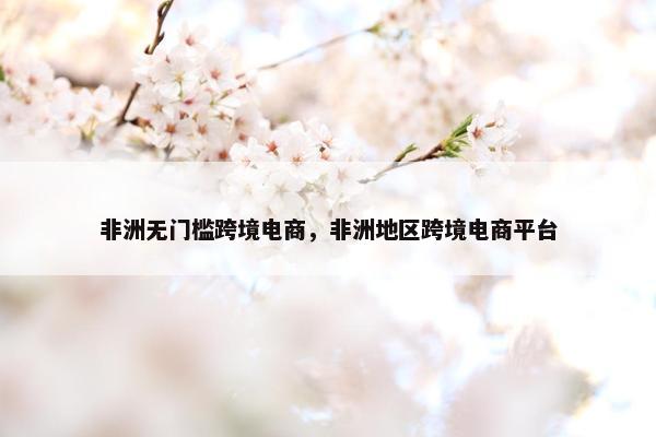 非洲无门槛跨境电商，非洲地区跨境电商平台