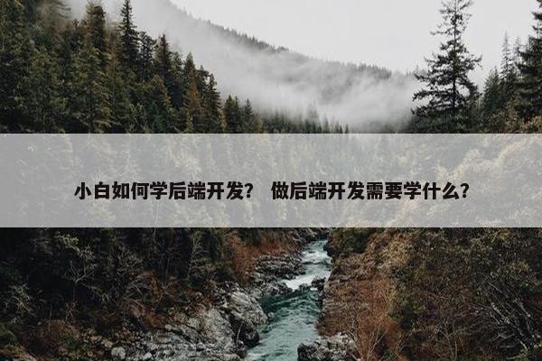 小白如何学后端开发？ 做后端开发需要学什么？