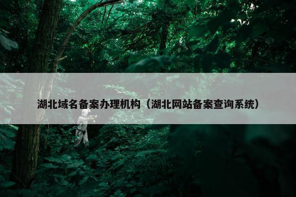 湖北域名备案办理机构（湖北网站备案查询系统）