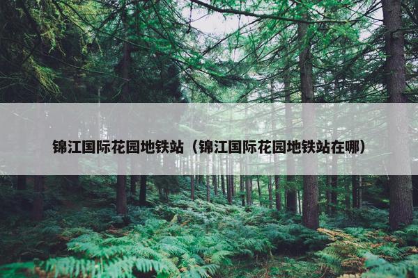 锦江国际花园地铁站（锦江国际花园地铁站在哪）