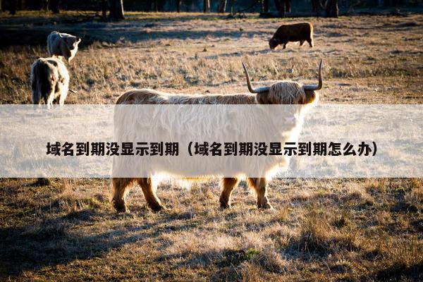 域名到期没显示到期（域名到期没显示到期怎么办）