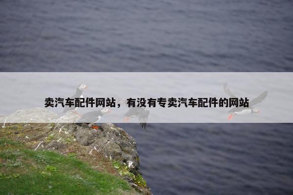 卖汽车配件网站，有没有专卖汽车配件的网站