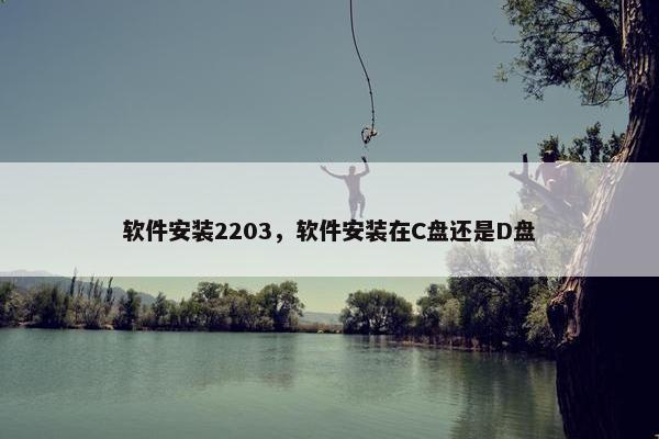 软件安装2203，软件安装在C盘还是D盘