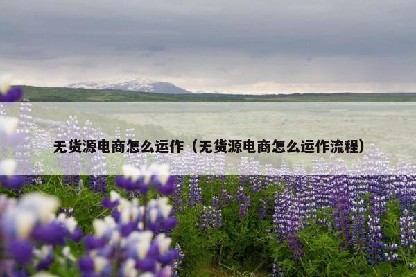 无货源电商怎么运作（无货源电商怎么运作流程）