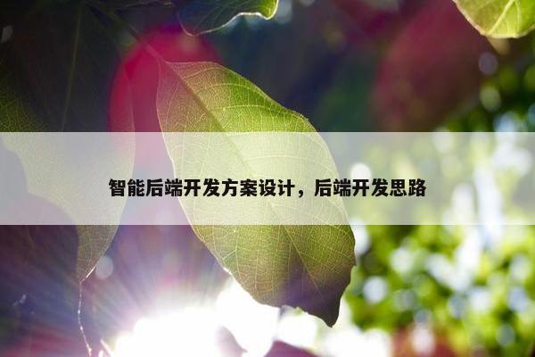 智能后端开发方案设计，后端开发思路
