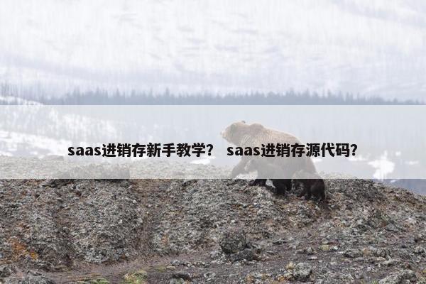 saas进销存新手教学？ saas进销存源代码？