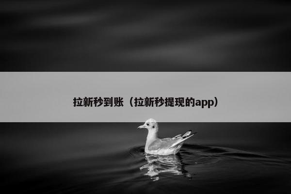 拉新秒到账（拉新秒提现的app）