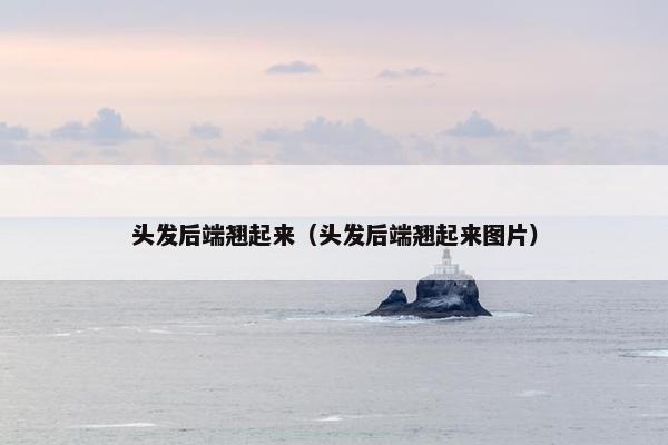 头发后端翘起来（头发后端翘起来图片）