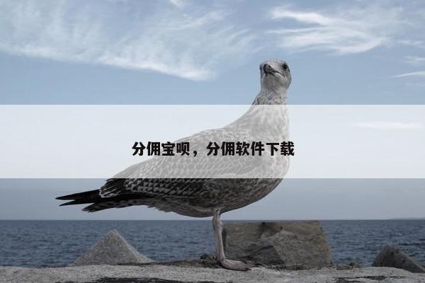 分佣宝呗，分佣软件下载