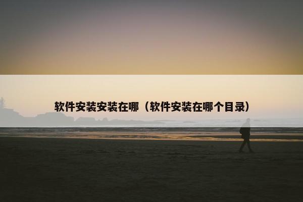 软件安装安装在哪（软件安装在哪个目录）