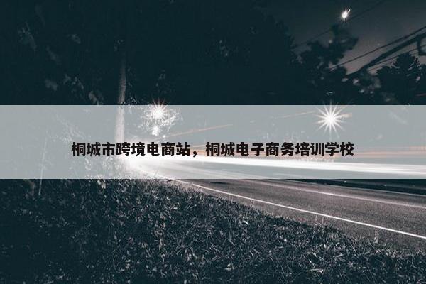 桐城市跨境电商站，桐城电子商务培训学校