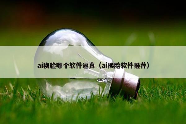 ai换脸哪个软件逼真（ai换脸软件推荐）