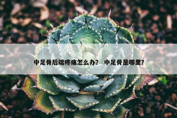 中足骨后端疼痛怎么办？ 中足骨是哪里？