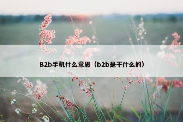 B2b手机什么意思（b2b是干什么的）