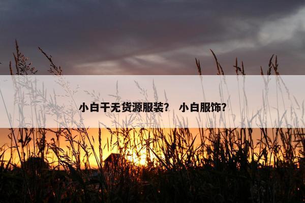 小白干无货源服装？ 小白服饰？