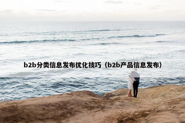 b2b分类信息发布优化技巧（b2b产品信息发布）