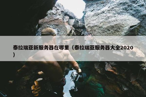 泰拉瑞亚新服务器在哪里（泰拉瑞亚服务器大全2020）