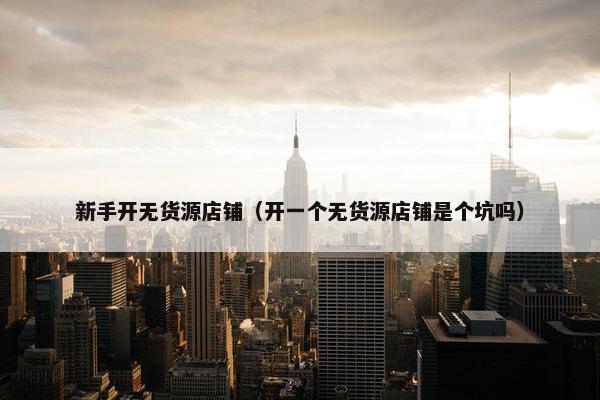 新手开无货源店铺（开一个无货源店铺是个坑吗）