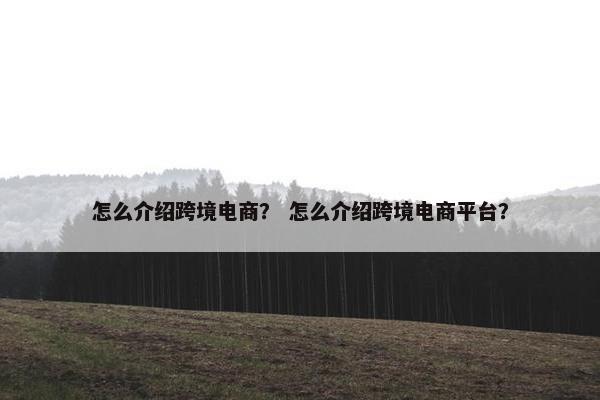怎么介绍跨境电商？ 怎么介绍跨境电商平台？