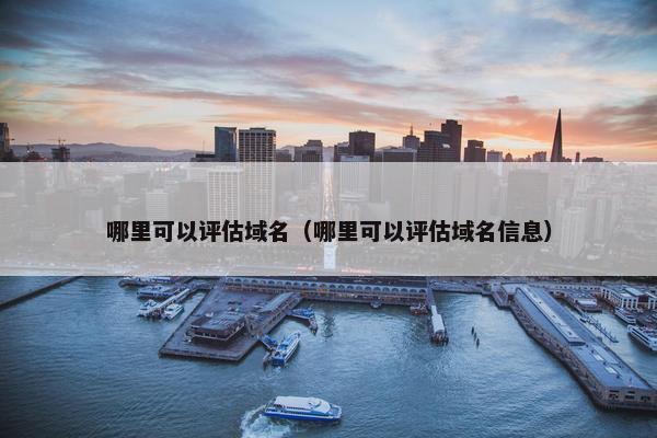 哪里可以评估域名（哪里可以评估域名信息）