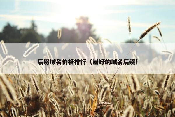 后缀域名价格排行（最好的域名后缀）