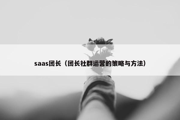 saas团长（团长社群运营的策略与方法）