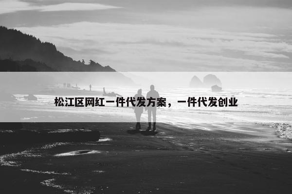 松江区网红一件代发方案，一件代发创业