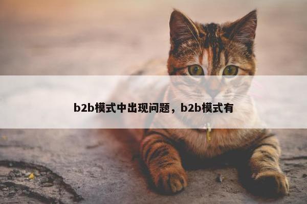 b2b模式中出现问题，b2b模式有