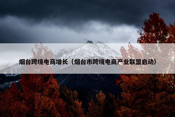 烟台跨境电商增长（烟台市跨境电商产业联盟启动）