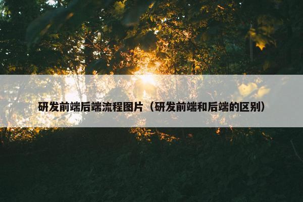 研发前端后端流程图片（研发前端和后端的区别）