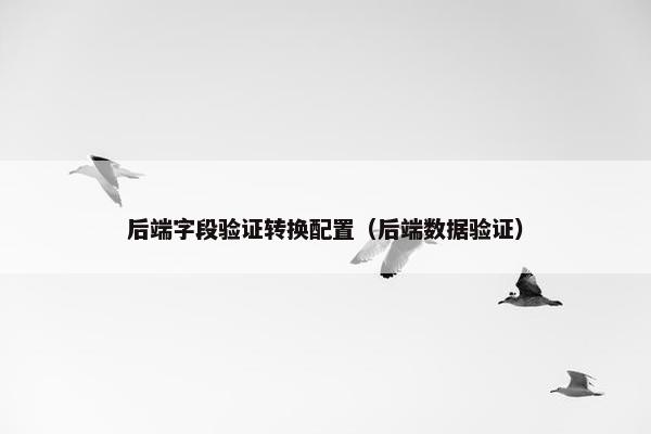 后端字段验证转换配置（后端数据验证）