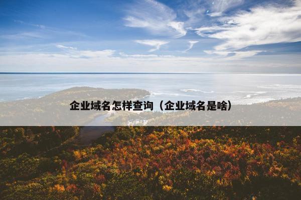 企业域名怎样查询（企业域名是啥）