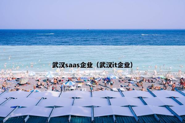 武汉saas企业（武汉it企业）