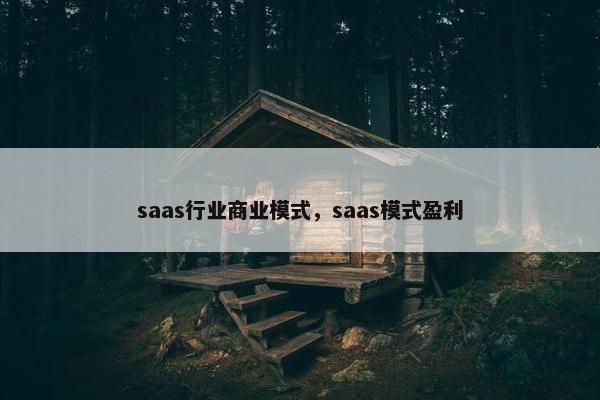 saas行业商业模式，saas模式盈利