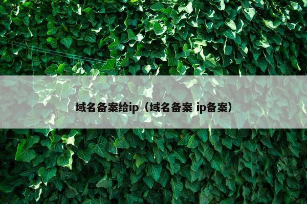 域名备案给ip（域名备案 ip备案）